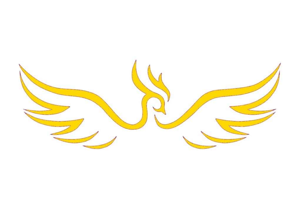 Join Our Flying Club